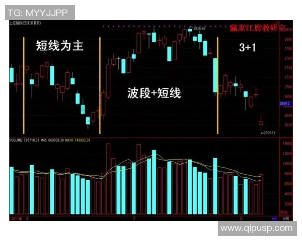 重庆网球队的战术控制体系解析与实战应用探讨 重庆网球队的战术控制体系解析与实战应用探讨