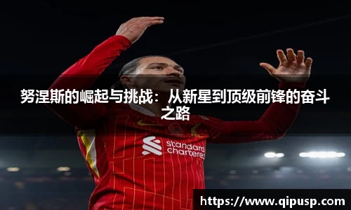 努涅斯的崛起与挑战：从新星到顶级前锋的奋斗之路