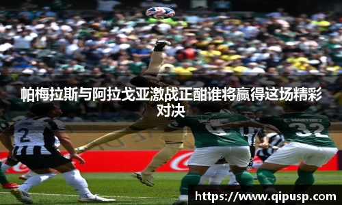 好博体育APP
